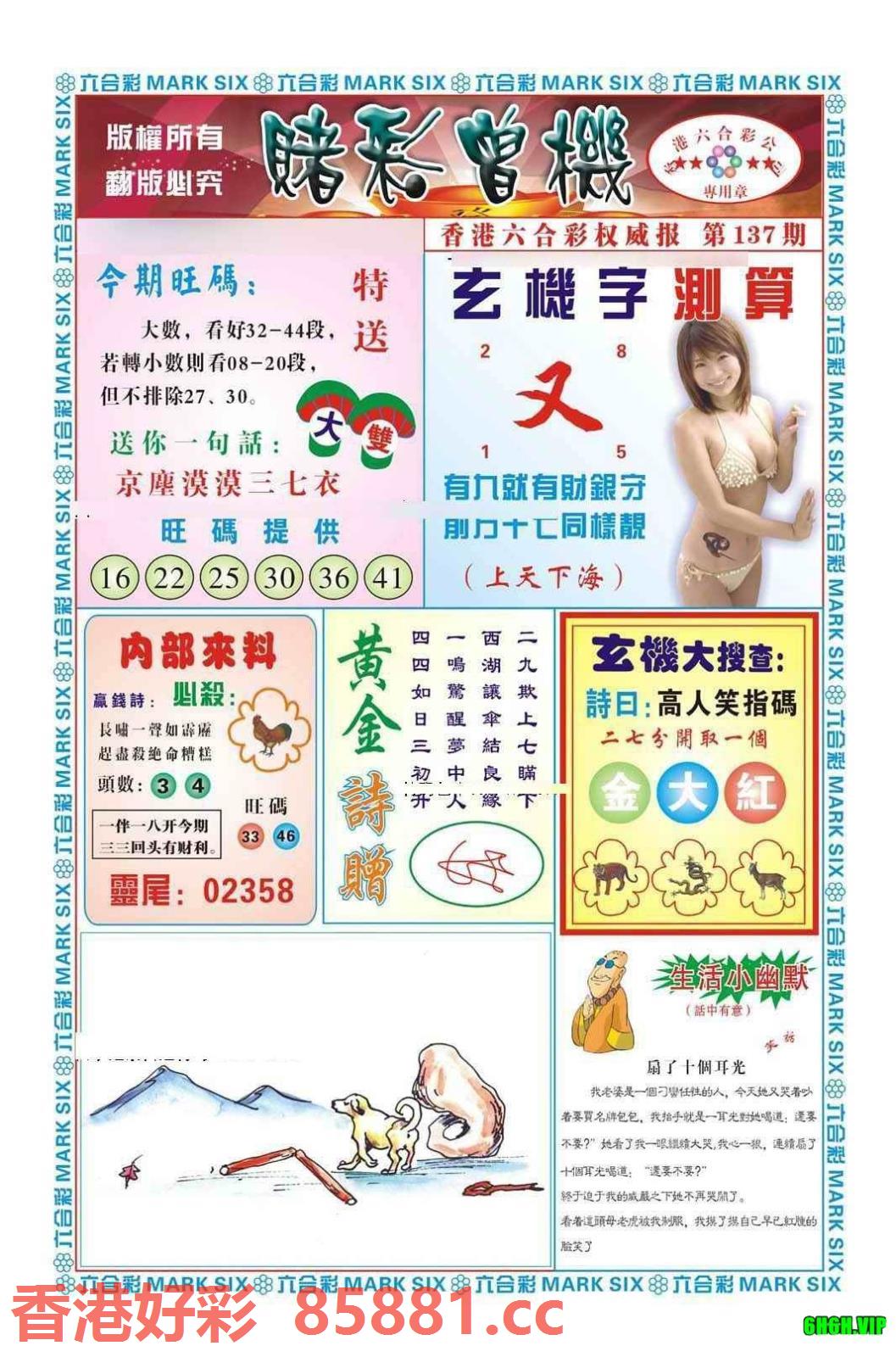 图片载入中...